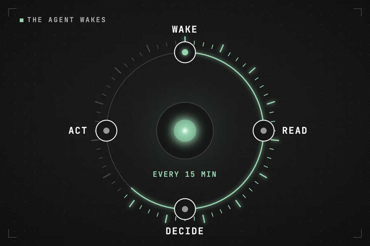 A circular cycle around the glowing core of the agent: wake, read the chain, decide, act; a green arc of minute ticks marks the wait until the next wake.